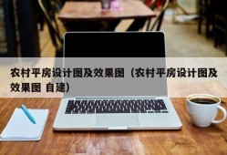 农村平房设计图及效果图（农村平房设计图及效果图 自建）